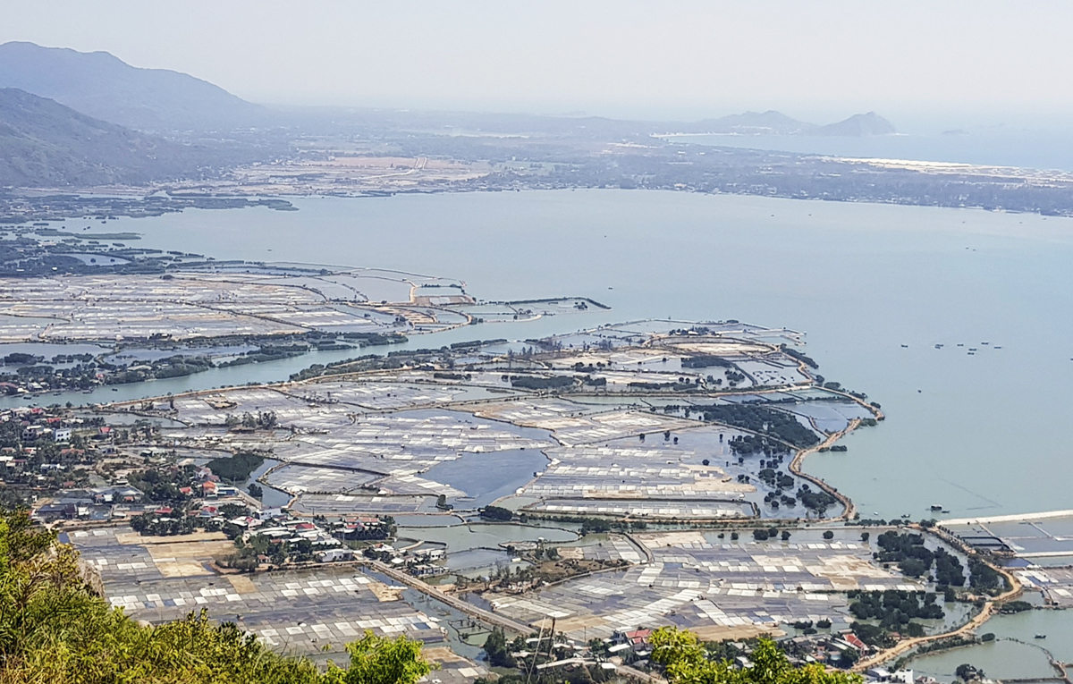 Cánh đồng muối xã Cát Minh nhìn từ trên cao.